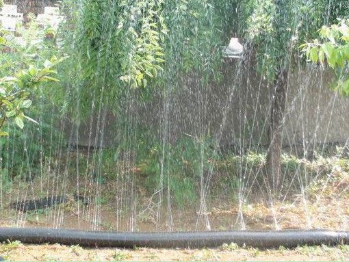 噴灌帶案例
